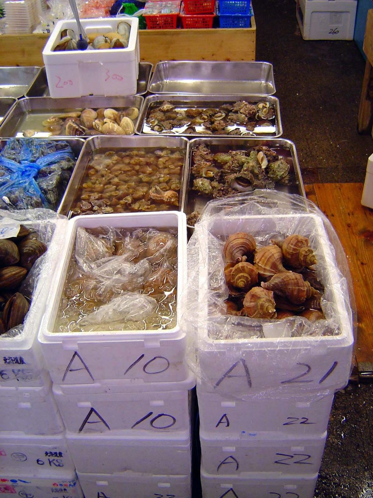 Cockles.