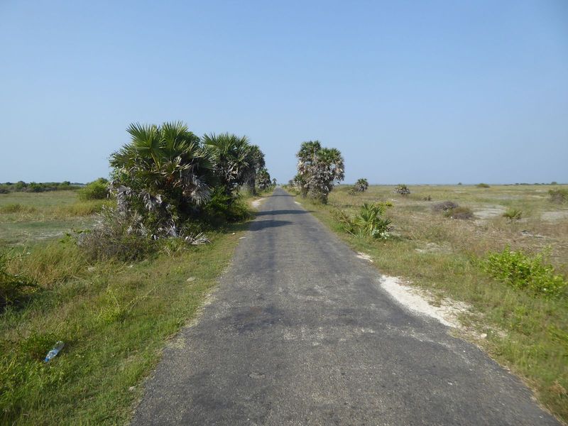 We've come over, as promised back at the fort, to Velanai Island.