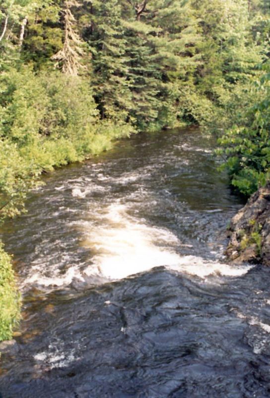 A few miles north of Caribou, the forest returns to dominate the landscape; brooks like this flow through it, and there are several large la