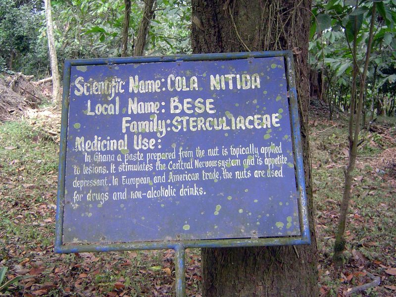 The garden has an educational function, too.