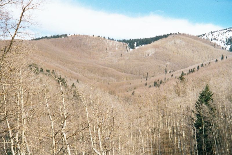 Santa Fe, elevation 7,000 feet, lies at the western base of the Santa Fe Mountains, a southerly extension of the Sangre de Cristos. Set asid