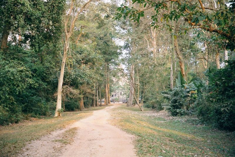 The main avenue from the Bayon to the Western Gate.