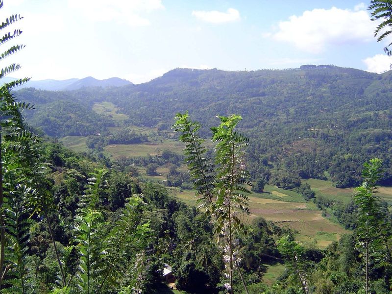 And here's the view from approximately the same spot but looking southeasterly.