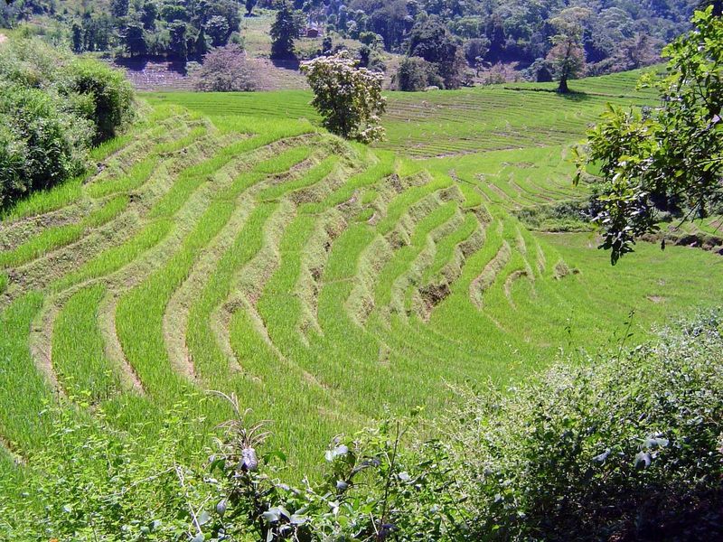 The terrace walls, steeper.