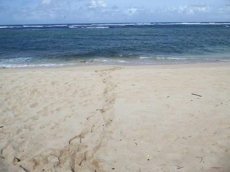 There's a calming reef out there.