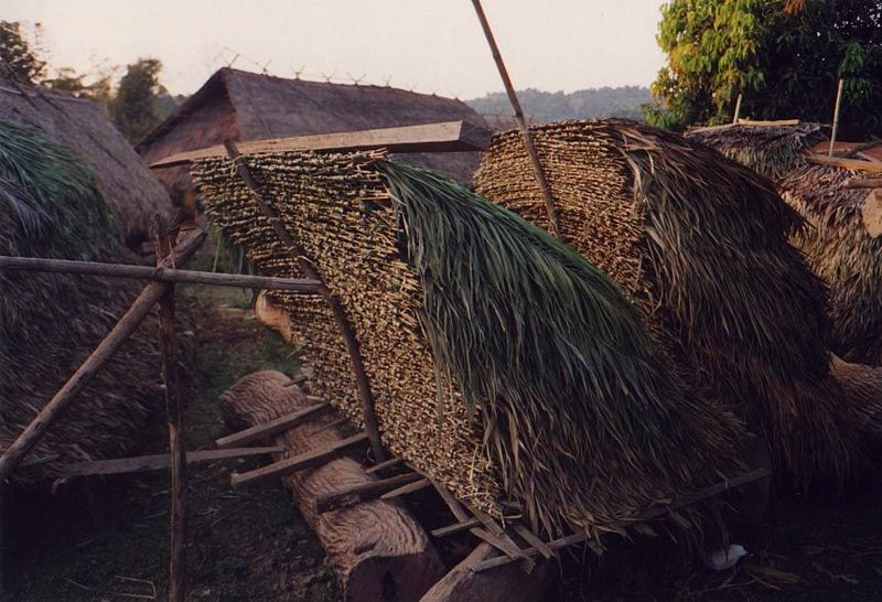 Beautiful stacks of bamboo for thatching.