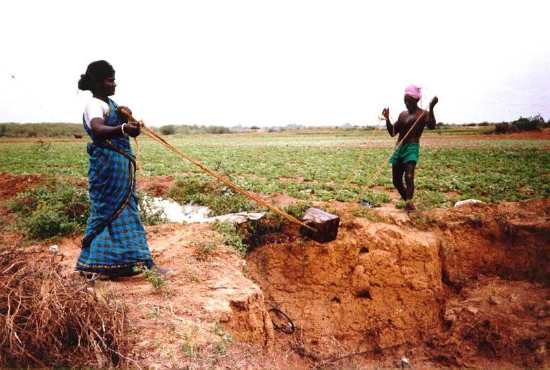 Lifting the water: a swing basket—a simple but very energetic method.