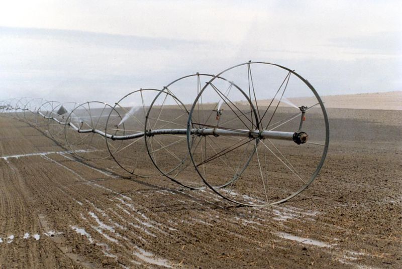 Too much sand? Uneven land surface? Then sprinklers may be the answer. Here's an obsolescent side-roll system, which draws water from a ditc
