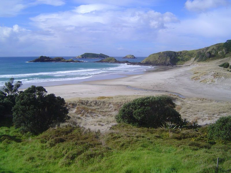 Ocean Beach, Tarakanahi Island, Mauitaha Island. The end of the peninsula, Bream Head, is off to the right. It's all very nice so long as yo