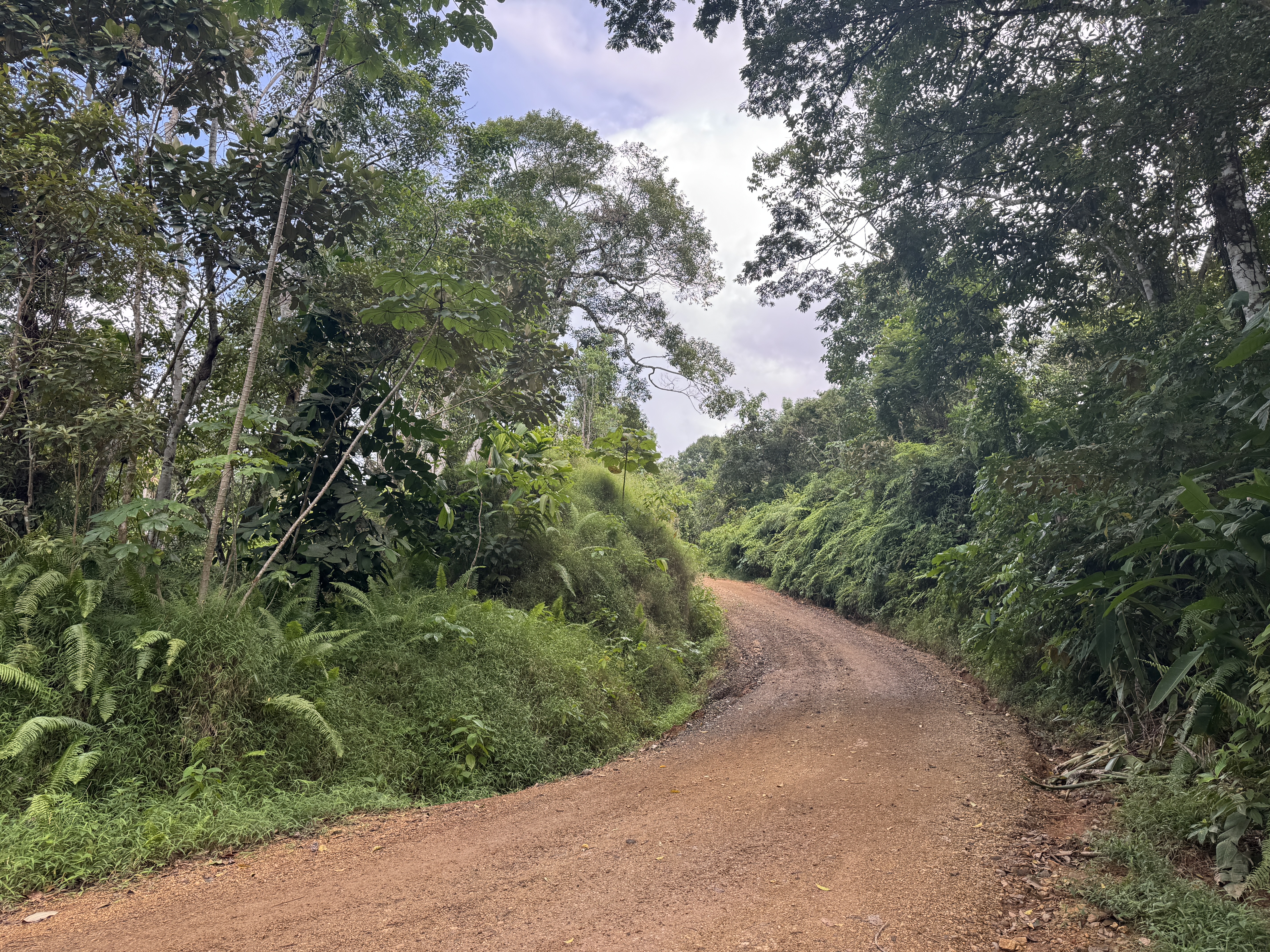 There are stubs of modern road, but no indication that they cross the Camino Real.