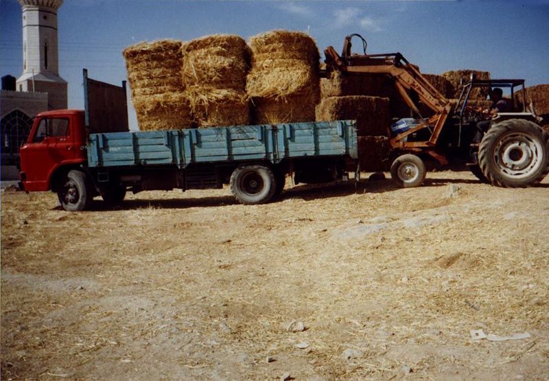 Much of the eastern desert across which Palestinians try to graze sheep and goats lies now in closed military areas, and livestock owners ha