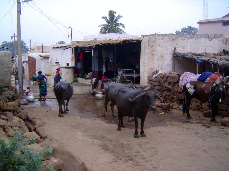 Below the toe of the dam, Badami today is a small town with plenty of people living village lives.