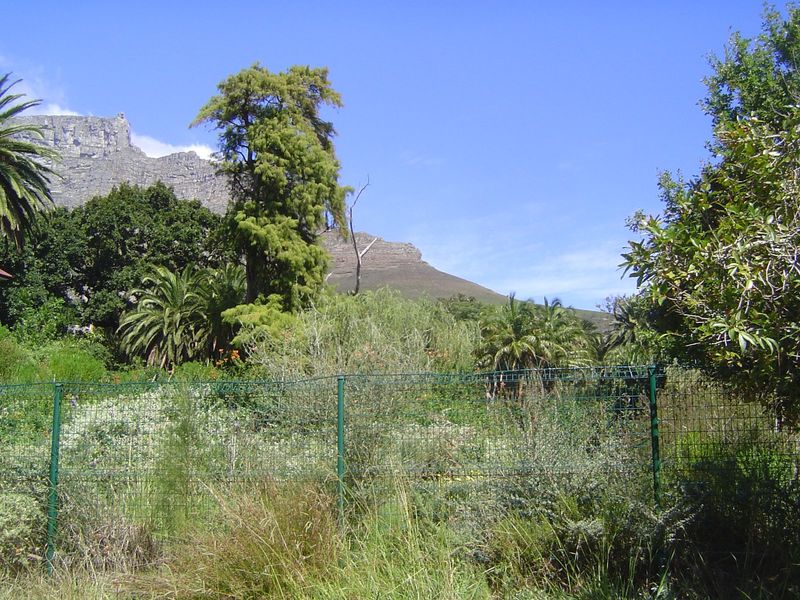 Still on Hofmeyr, it looks like verdant wilderness, but the fence suggests it isn't.