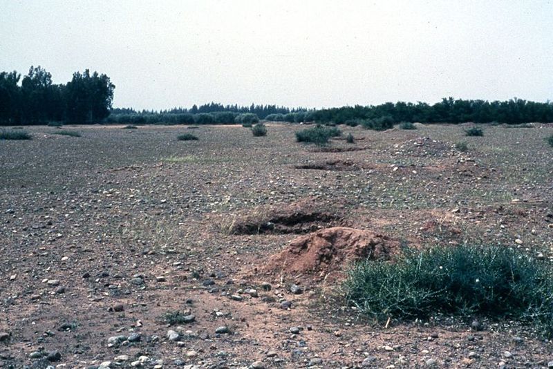 Here, a line of wells can be seen heading downhill in the direction of the oasis in the distance, where the water tunnel emerges at the surf