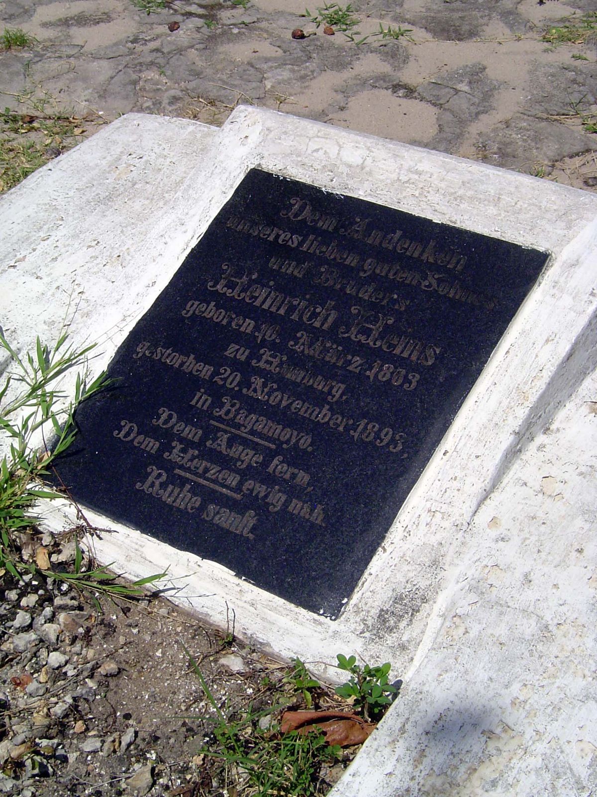 To the memory of our dear good son and brother, Heinrich Hems, born 1863 in Hamburg, died November 1893 in Bagamoyo. The eye away but the he