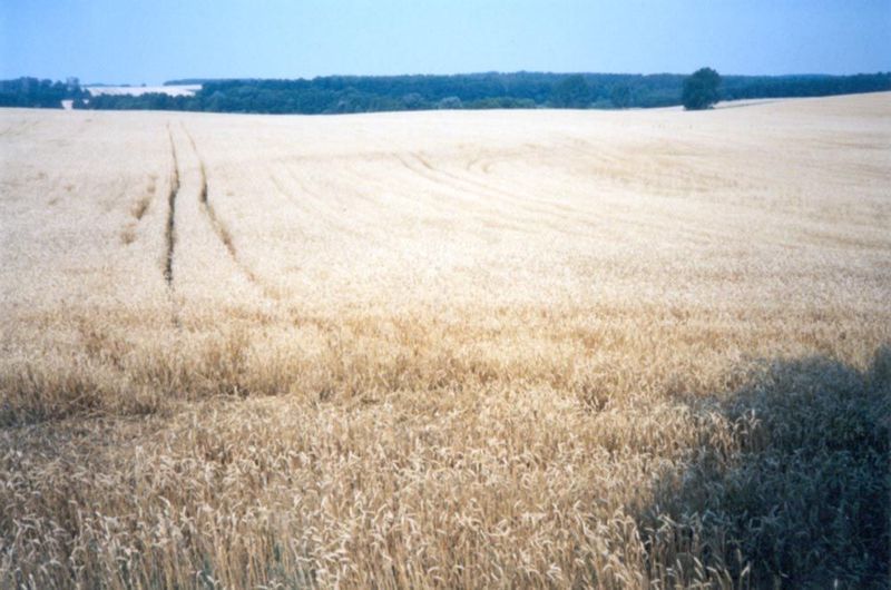 The Kansas of Poland.