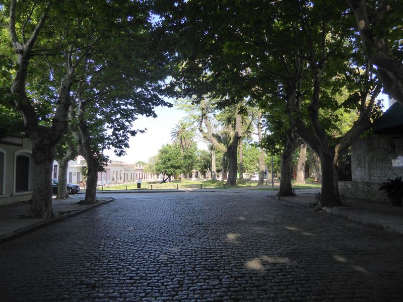 Once through the gate, you're almost at the Plaza de Armas and the old governor's palace. The sycamores are magnificent, though so messy tha