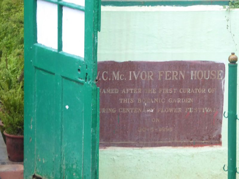 William Graham McIvor was his name, attached here to the wall of the garden's fern house.