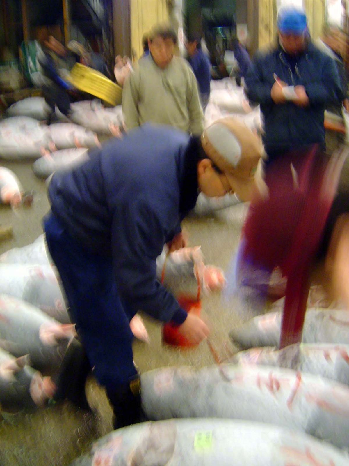 Once sold, the fish is labelled.