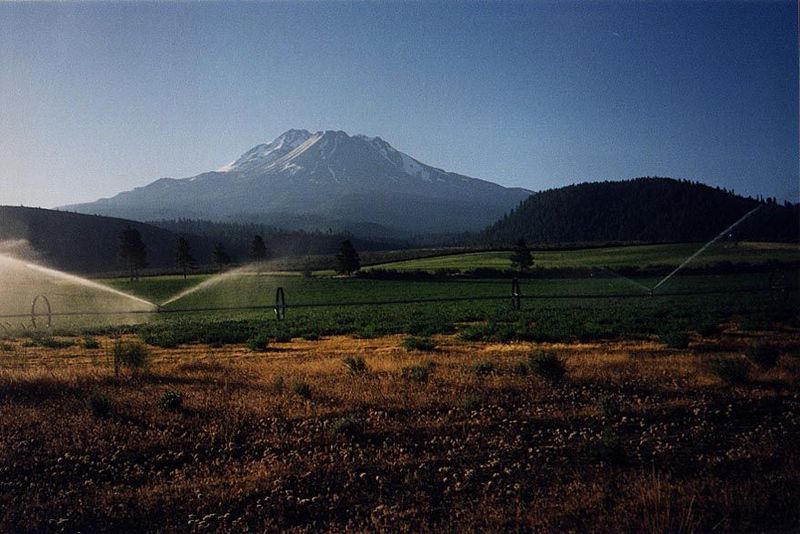 Mt. Shasta rises behind side-roll sprinklers marching across a field northeast of Weed, California.