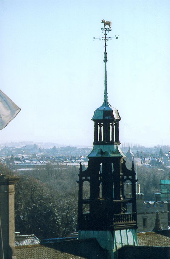 The view, to the southeast, of the golden weather-ox atop the Town Hall 1893-7.