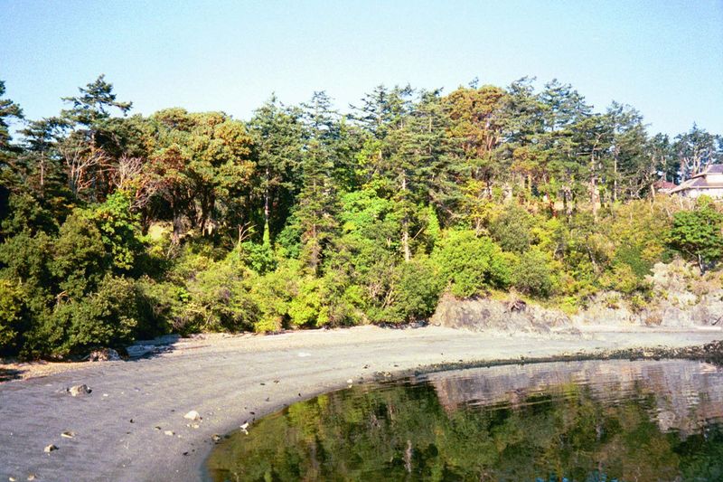 Looking back from the same beach toward the new housing development, an edge of which can be seen.