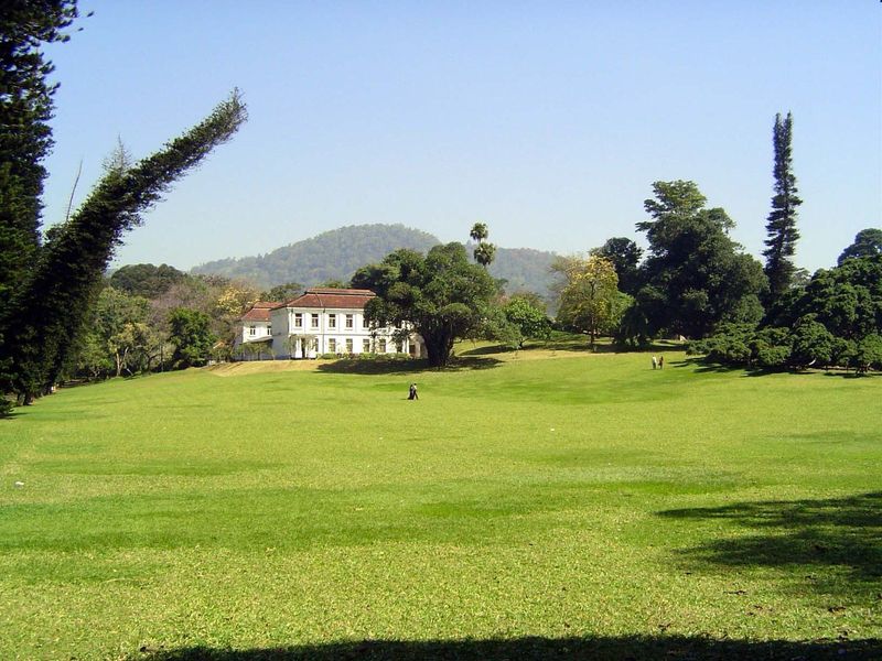 Hard to believe it's Sri Lanka, but it is: it's the great lawn of the Peradeniya Botanical Garden.