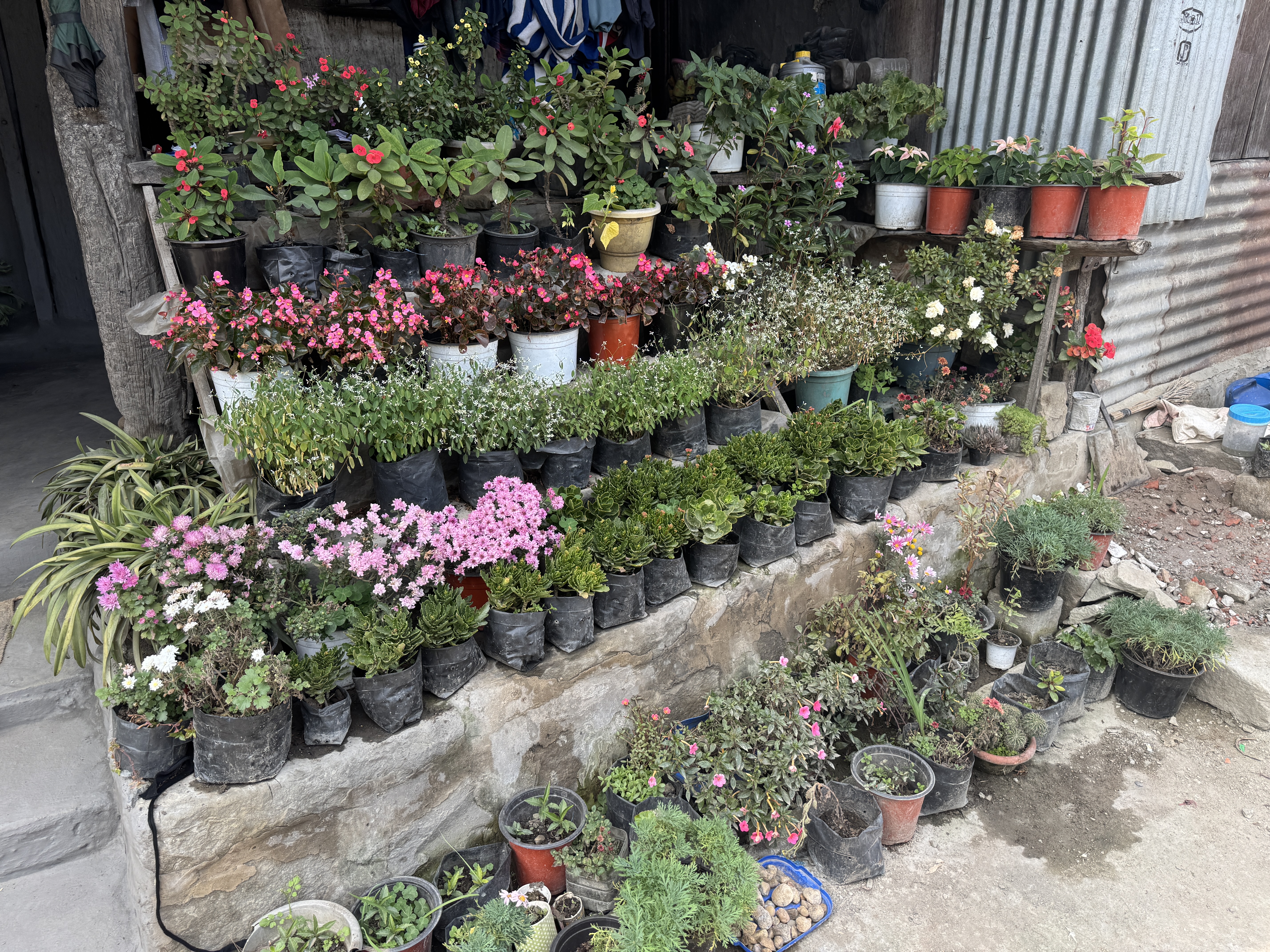 A commercial florist.  Not what you'd expect?  Me neither.