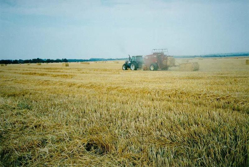 Enough nostalgia! Time for the real England, the England ripping out hedgerows, bringing in combines, and doing its best to escape the stran
