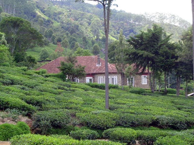 The plantation manager's bungalow.