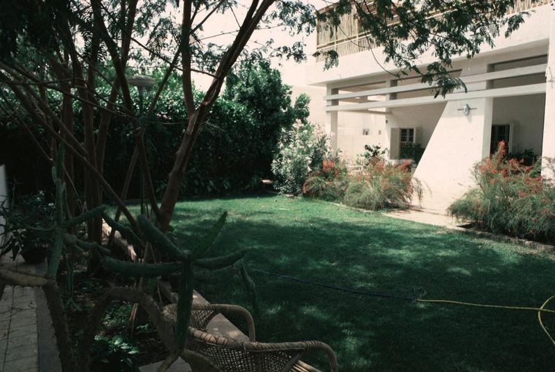 Downstairs: a small lawn. The house itself is brick, but it has modernist aspirations.