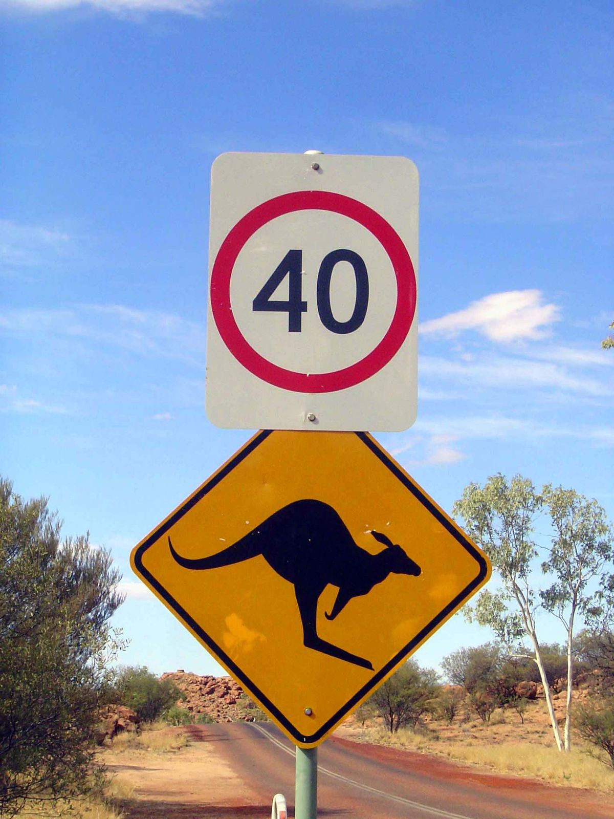 There's plenty of road-kill, if you need proof.