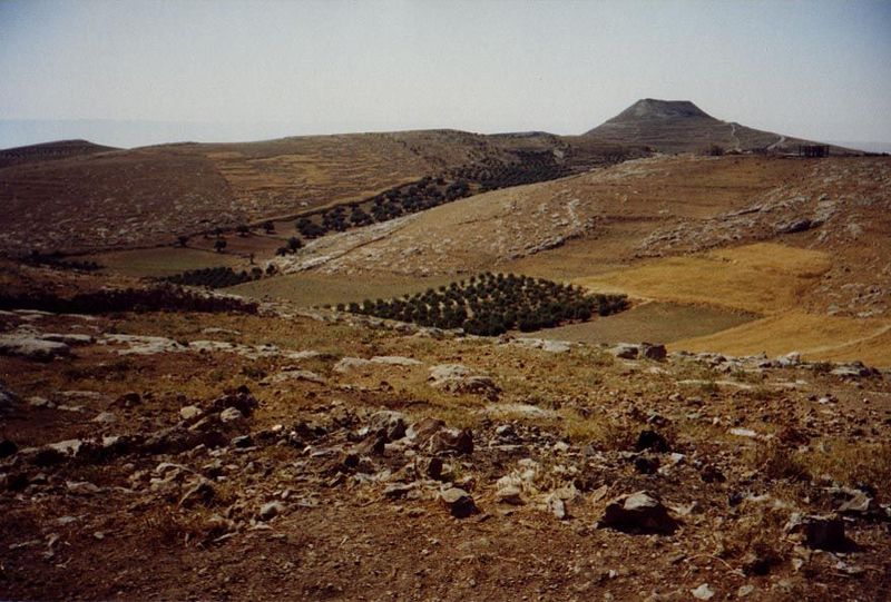 A similar landscape, marked in the background by the mysterious summit of Herodion, where Herod built a palace.