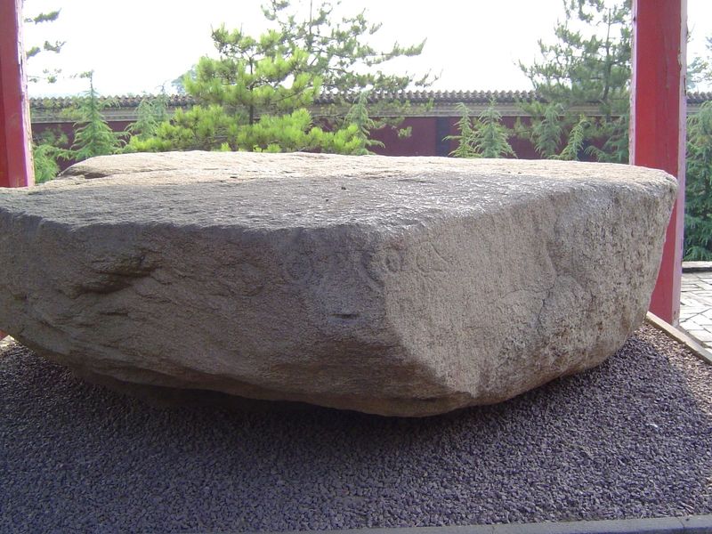 Absolute minimalism: the idea of a tortoise.