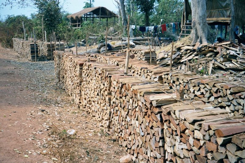 On the road to Banteay Srei: ricks of fuelwood.