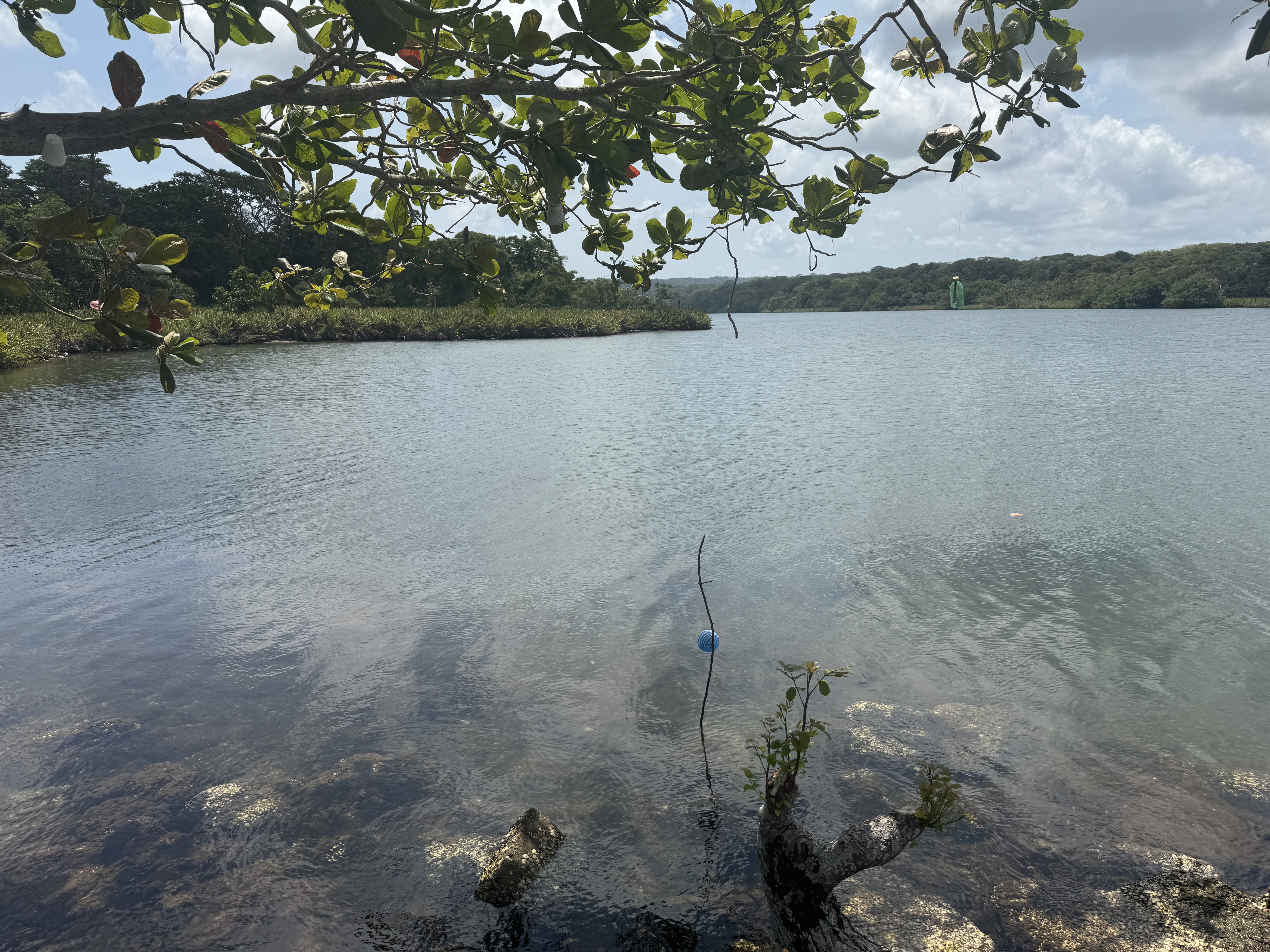 Jessie Benton Fremont, John's wife, crossed the isthmus without him in 1848 and decades later recalled that, "When we reached Chagres, if it