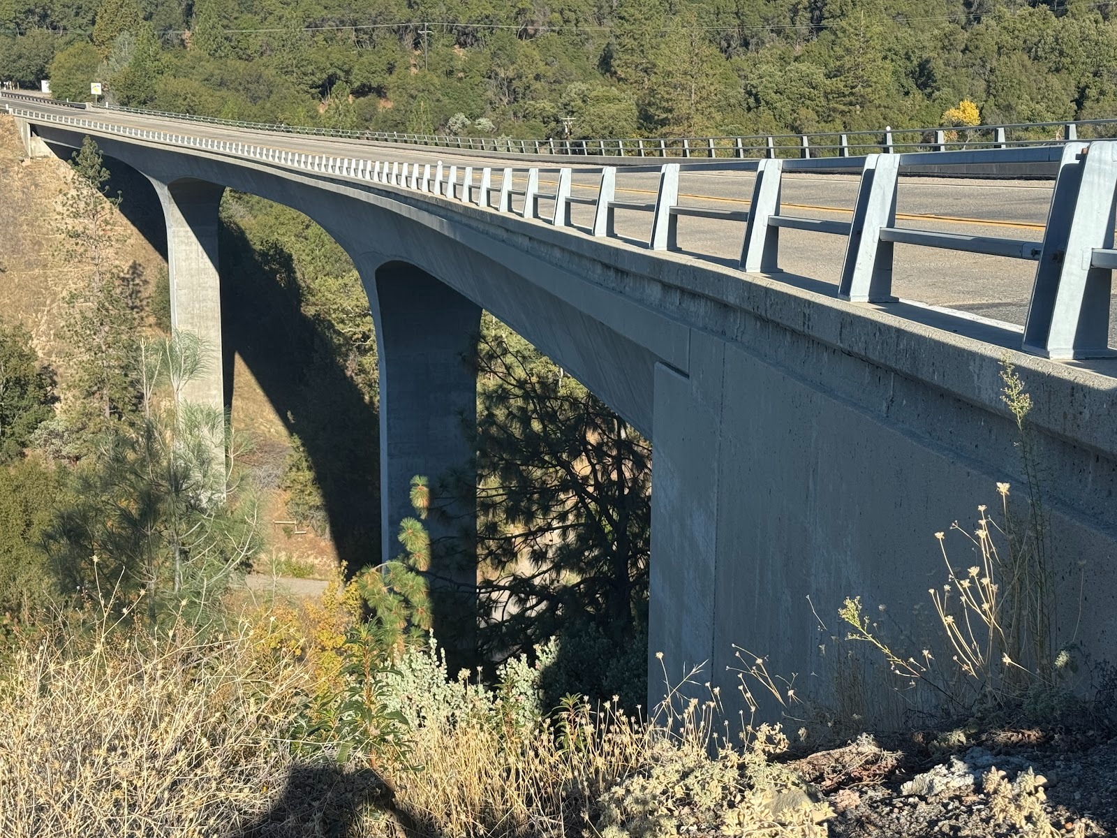 On the way north we're going to cross several rivers with intimidating canyons.  Here, a few miles north of Oakhurst, is the modest canyon o