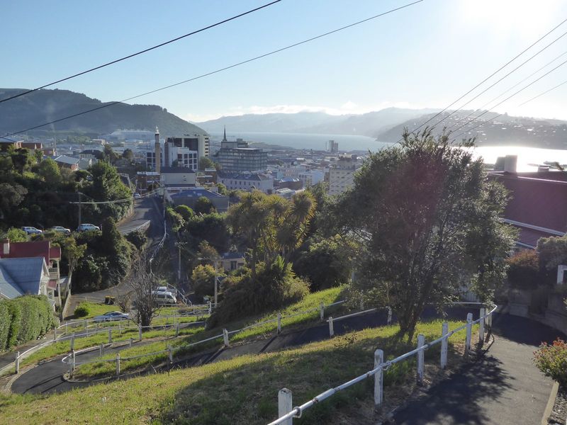 Here's Dunedin's equivalent of San Francisco's Lombard Street. Name: Canongate. Makes you want to get out your skateboard?