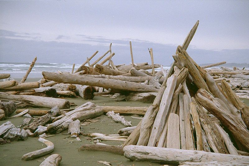 The driftwood provides endless inspiration for the building of shelters on blustery days.