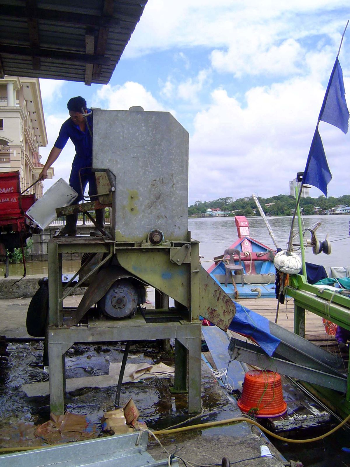 They're ground up and shunted down to the hold of a fishboat about to set out to sea.