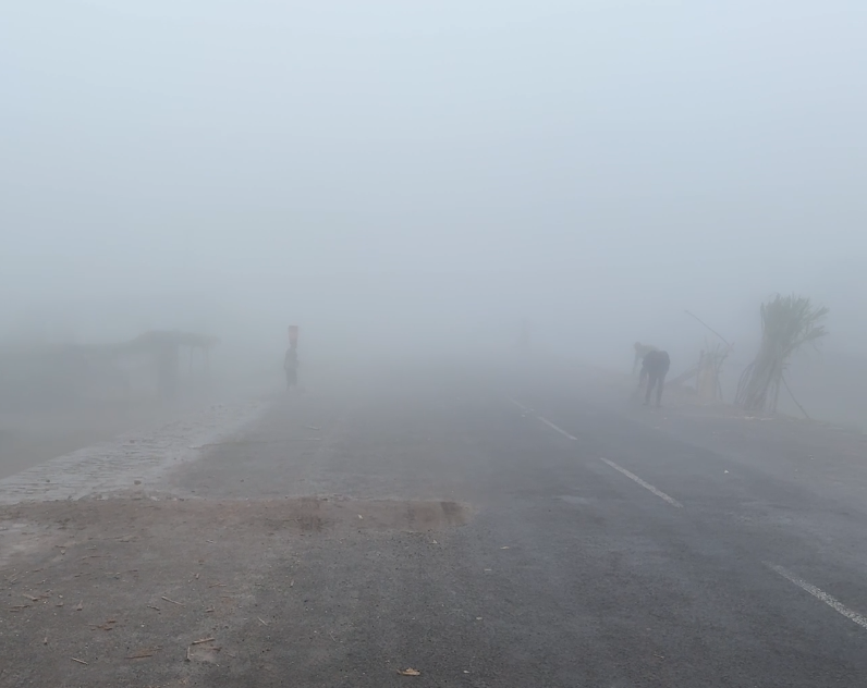 We've come up into the hills to the east.  This is tea country around the town of Thyolo and foggy as hell in the wet season.