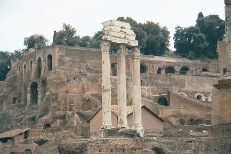 The Palatine Hill rises behind the columns of the Temple of Castor. Up top: the Farnese Gardens, now public. The massive brickwork underneat