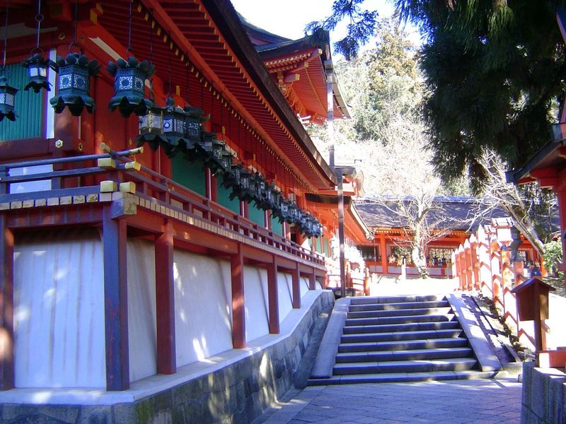 Hanging lanterns.