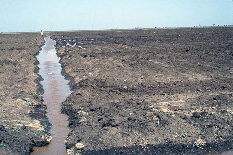 Water management on the scheme is complicated, in part because the soil is a heavy clay and in part because the system is incapable of suppl