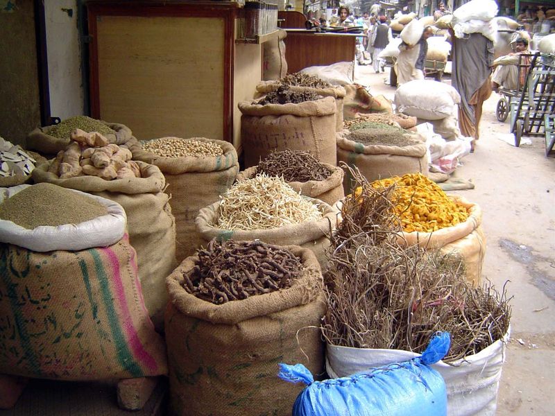 Medicinal plants.