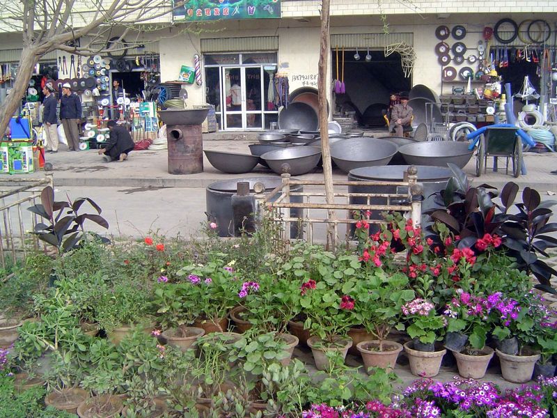 Potted plants.