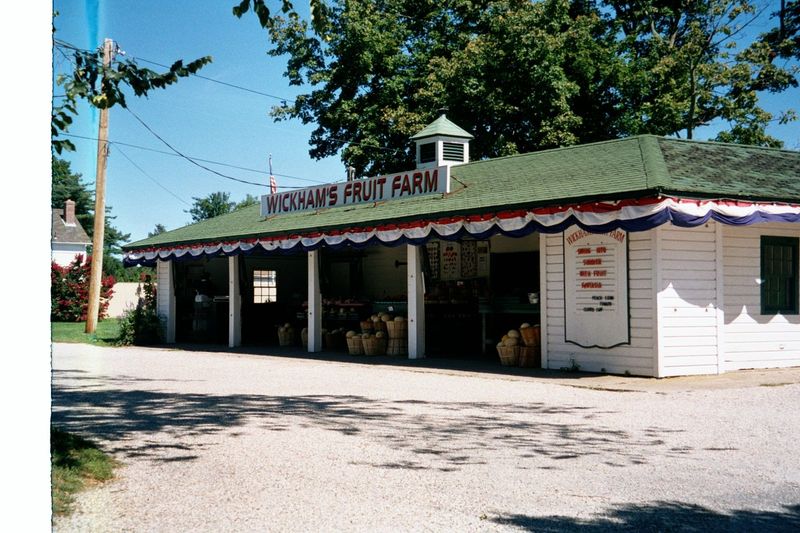 A fruit farm hangs on.