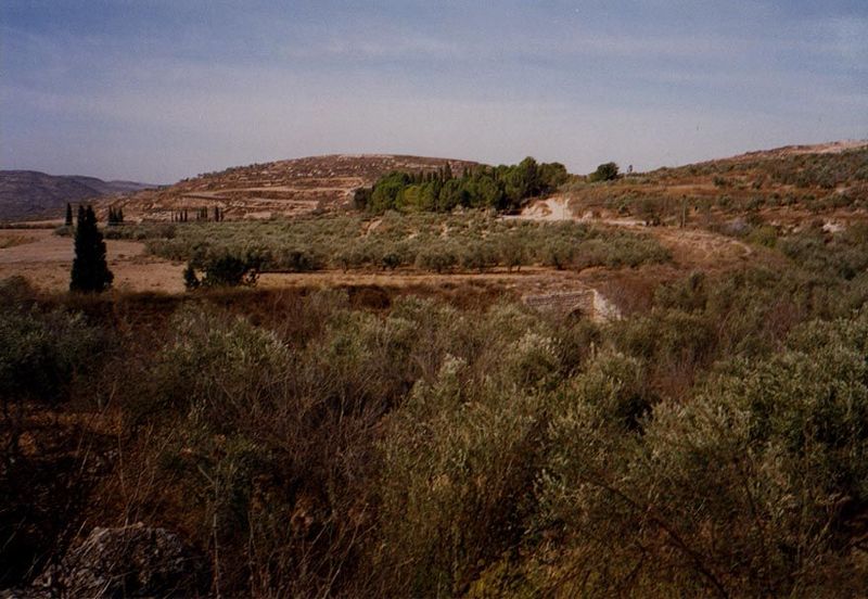 Industrial civilization arrived on the West Bank during the late Ottoman period with works like this. Spot it?