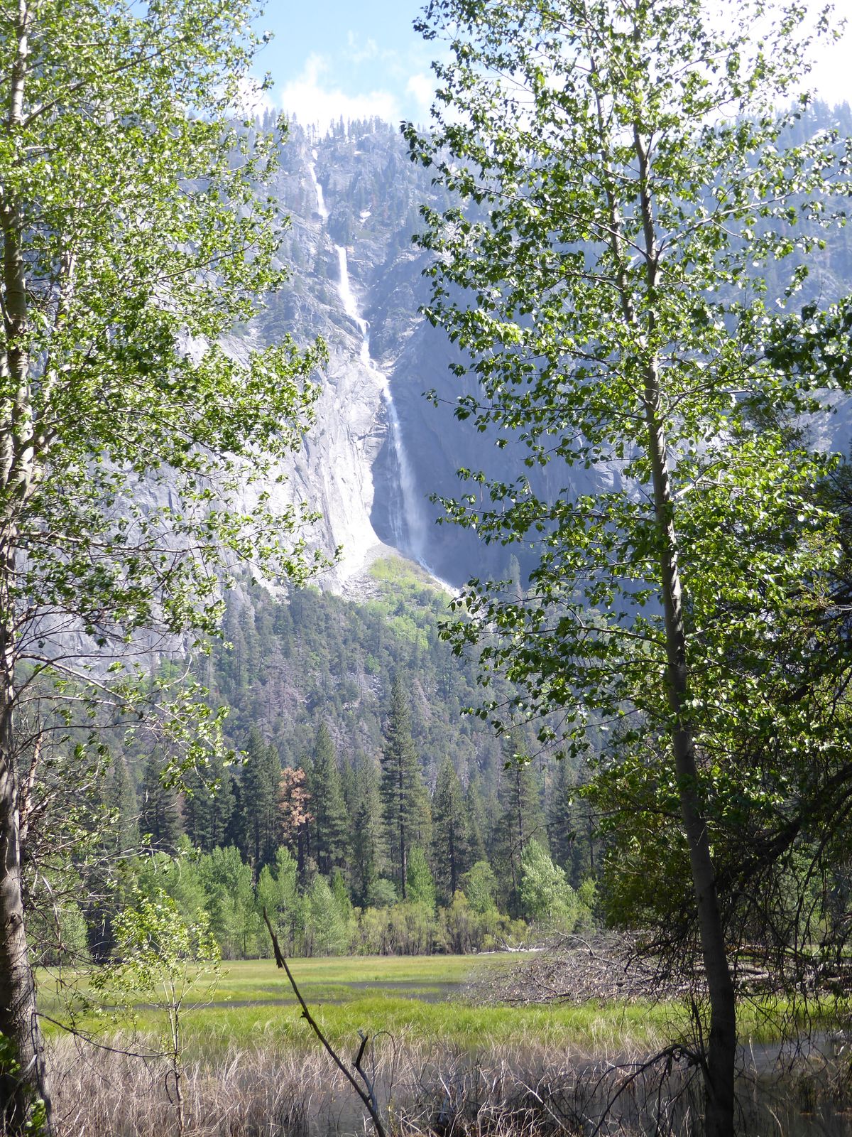 Ephemeral falls were busy, including this one, Sentinel Falls.