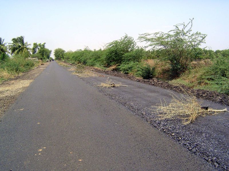 No paint to mark the unfinished lane? No problem. Thorn branches will do.